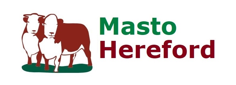 logo Masto Hereford